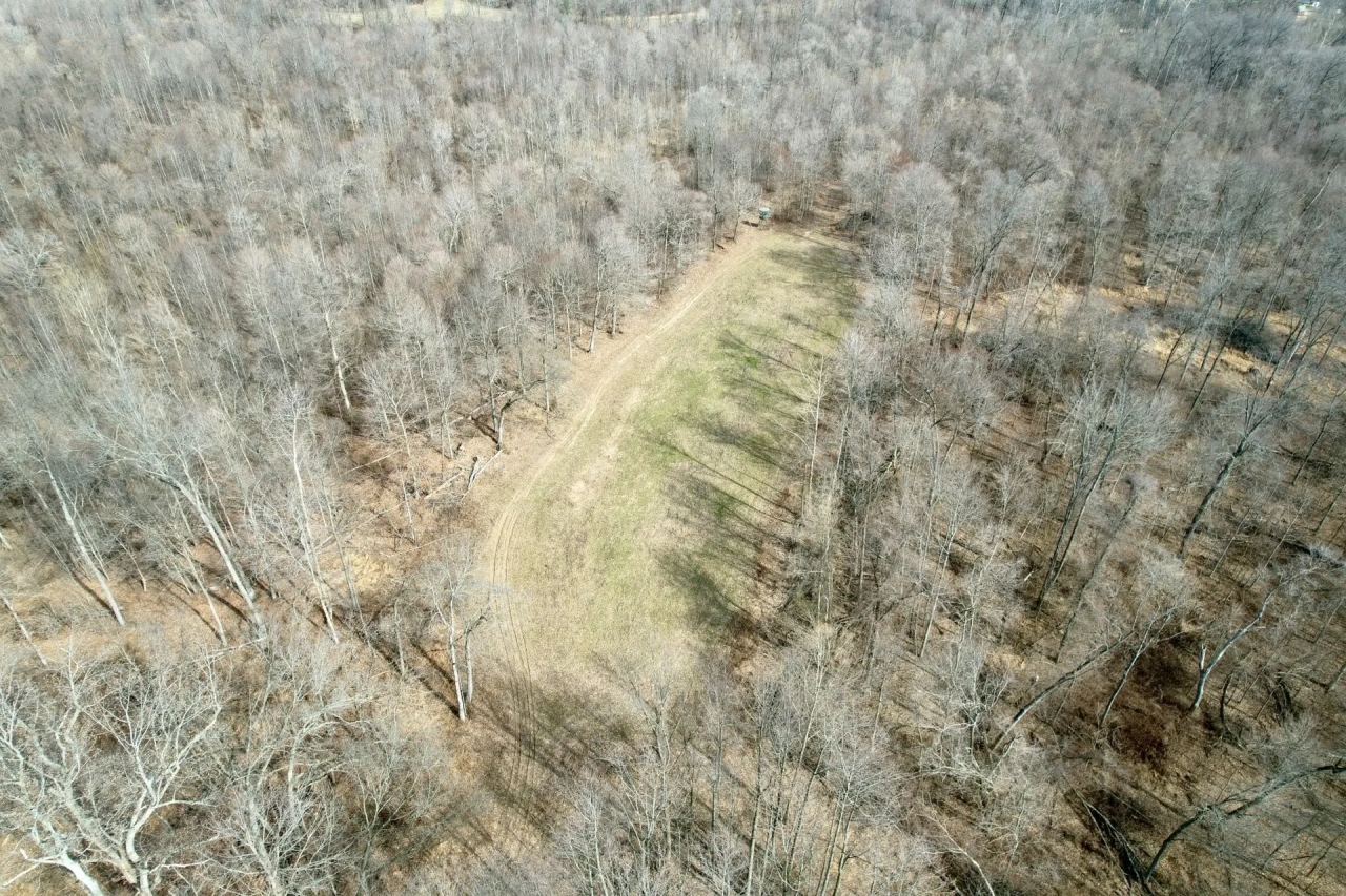 All wooded tract in Jackson Co. Illinois Hunting Land for Sale