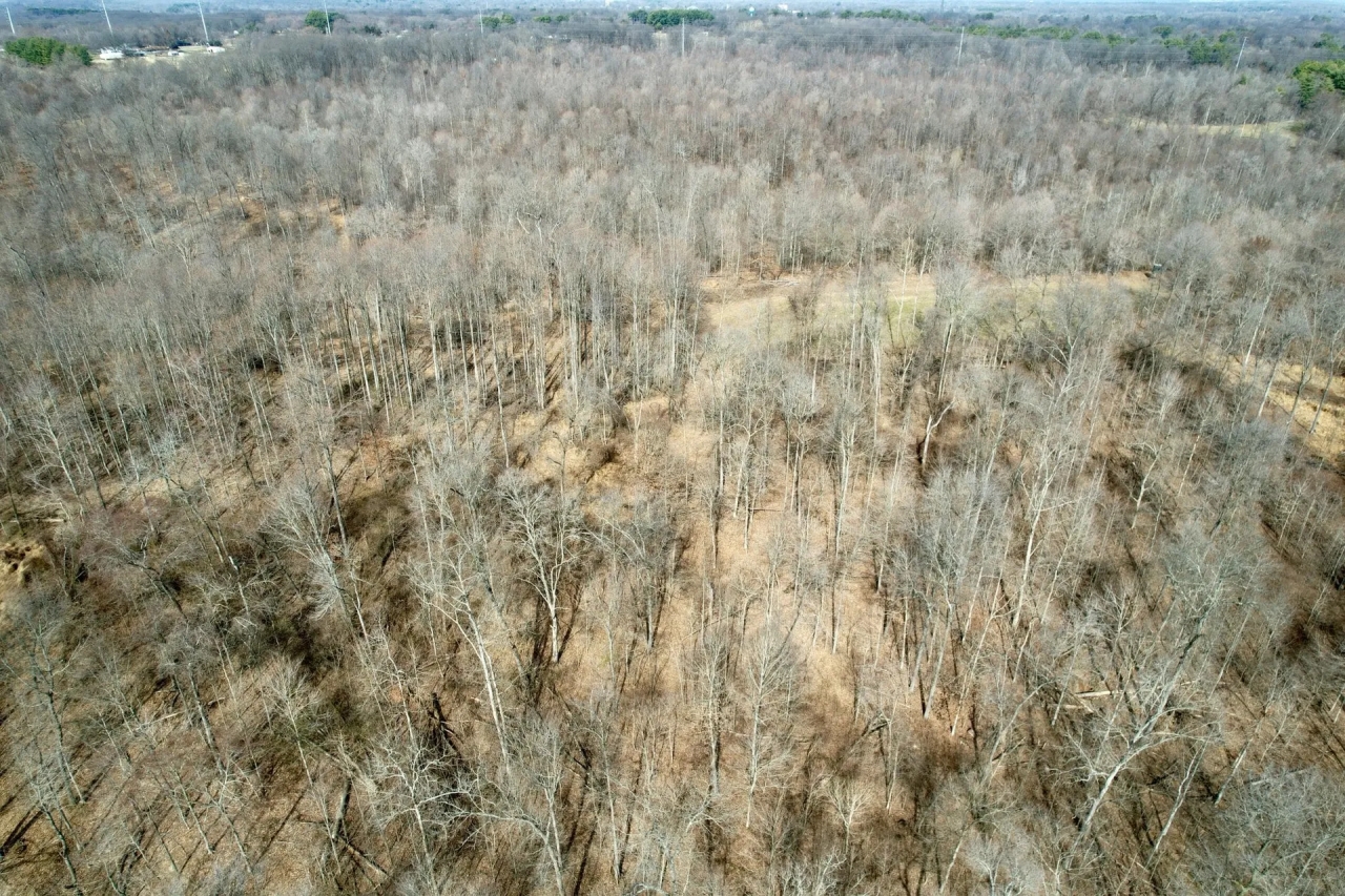 All wooded tract in Jackson Co. Illinois Hunting Land for Sale
