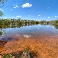 Back on the Market 9.6 - Acres Taylor County