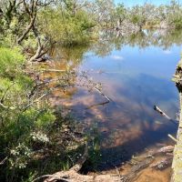 Back on the Market 9.6 - Acres Taylor County images 3