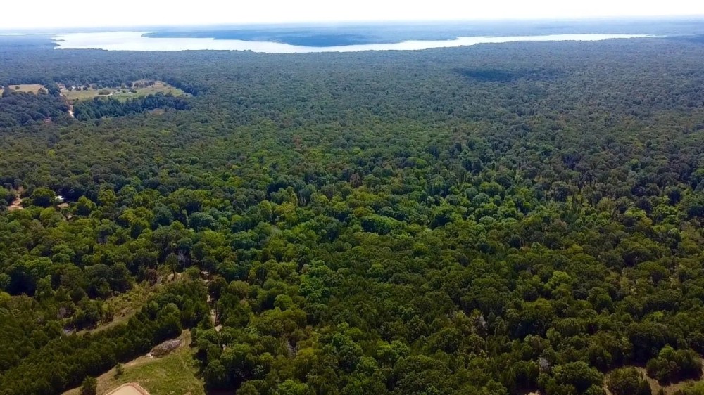 Pat Mayse WMA- 62 - Acres featured image