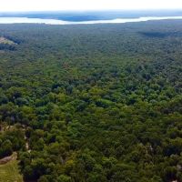 Pat Mayse WMA- 62 - Acres images 1