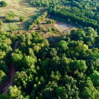 Pat Mayse WMA- 62 - Acres images 2