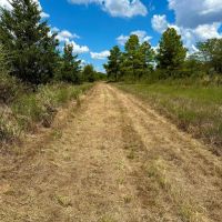 Pat Mayse WMA- 62 - Acres images 4