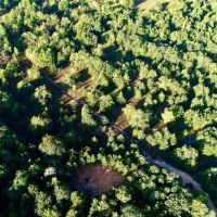 Pat Mayse WMA- 62 - Acres images 5