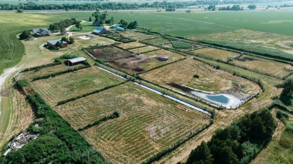 Brady Feedlot with 2 Homes featured image