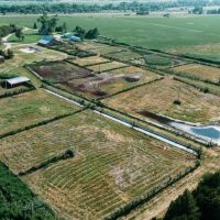 Brady Feedlot with 2 Homes