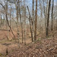 Welcome to Coosa Ridge images 3