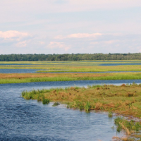 Scarborough Marsh WMA - 3,098 acres Deer hunting tract in Cumberland, ME images 4