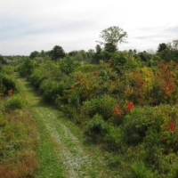 Scarborough Marsh WMA - 3,098 acres Deer hunting tract in Cumberland, ME images 3