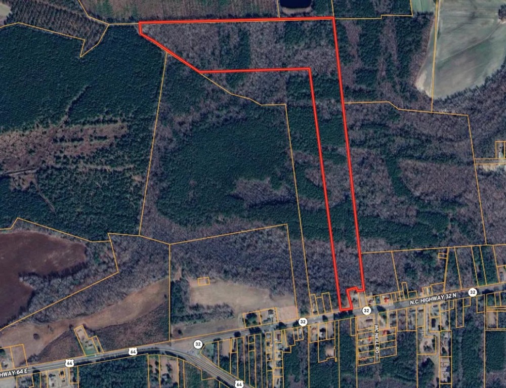 Prime 48.3-Acre Timber Tract Near Plymouth NC - Ideal for Hunting Investment featured image