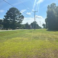 Prime 48.3-Acre Timber Tract Near Plymouth NC - Ideal for Hunting Investment images 5