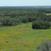 Southwinds Ranch 70 Acres images 3