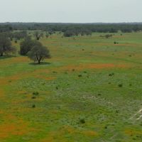 Southwinds Ranch 70 Acres images 4