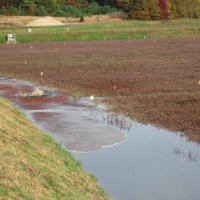 Plymouth Bog WMA - 703 acres Deer hunting land in Penobscot, ME images 4
