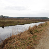 Plymouth Bog WMA - 703 acres Deer hunting land in Penobscot, ME images 3
