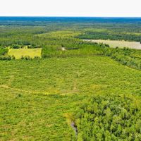 58 Acres of Country Living