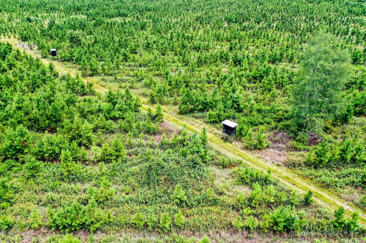 58 Acres of Country Living Hunting Land for Sale