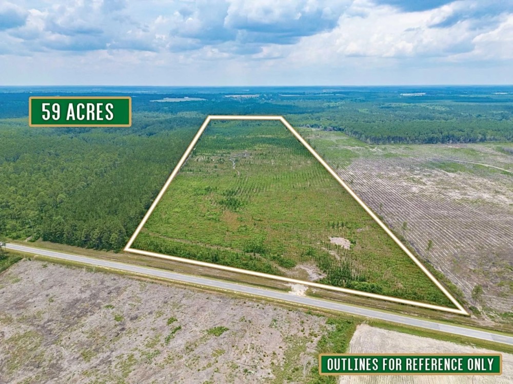 59-Acre Hunting and Timberland Tract on East River Road featured image