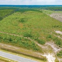 59-Acre Hunting and Timberland Tract on East River Road images 4