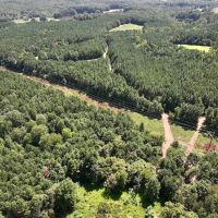 31.41 acres of Investment Homesite and Recreational Land For Sale in Person County NC images 2