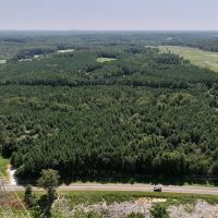 31.41 acres of Investment Homesite and Recreational Land For Sale in Person County NC images 3