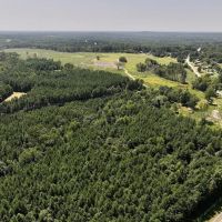 31.41 acres of Investment Homesite and Recreational Land For Sale in Person County NC images 4