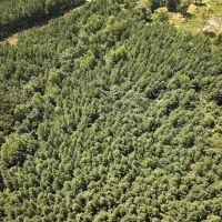 31.41 acres of Investment Homesite and Recreational Land For Sale in Person County NC images 5
