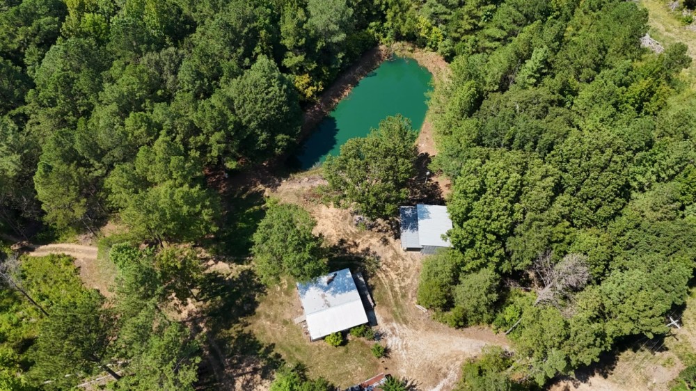 230 Acres with a Camp in Carroll County MS featured image