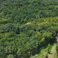 230 Acres with a Camp in Carroll County MS images 2