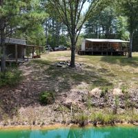 230 Acres with a Camp in Carroll County MS images 3