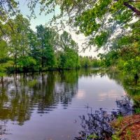 Portal Pond Property images 4