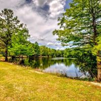Portal Pond Property images 5