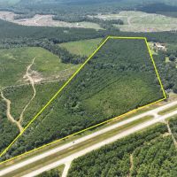 44 Acres T-1 Highway 96 287053