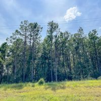 44 Acres T-1 Highway 96 287053 images 2