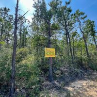 44 Acres T-1 Highway 96 287053 images 4