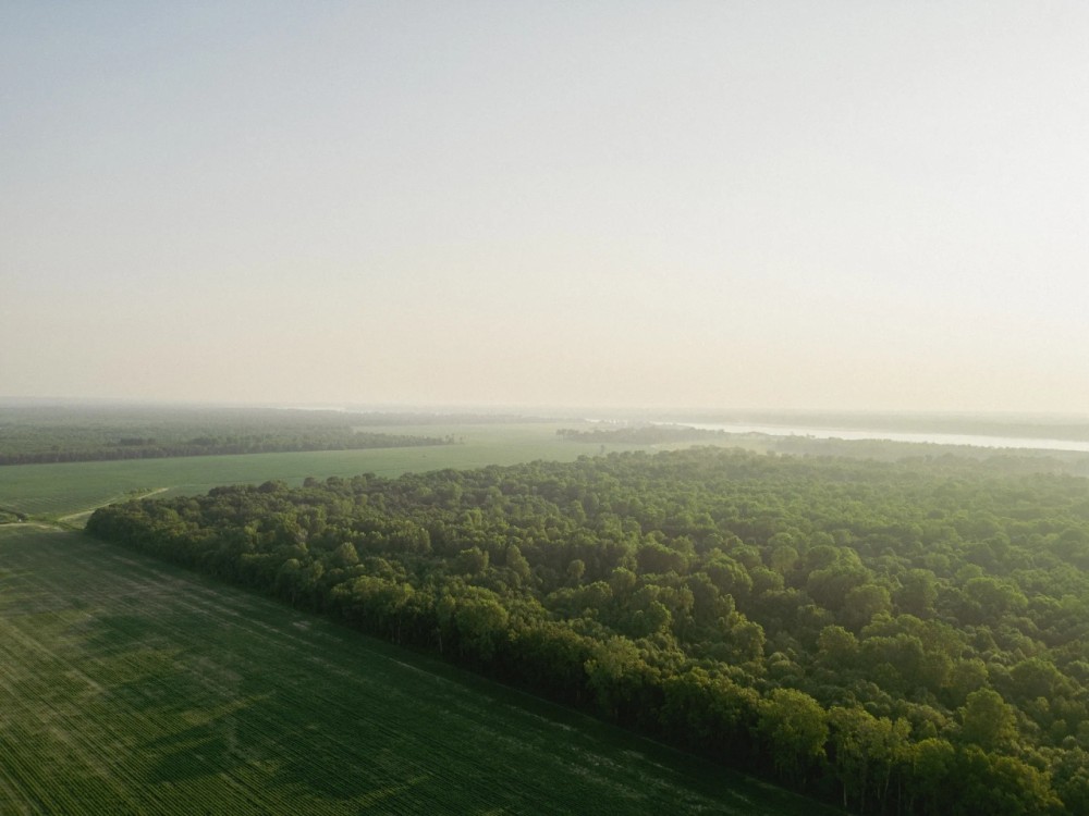 136 Acres in Warren County MS featured image