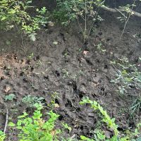 136 Acres in Warren County MS images 3