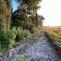 136 Acres in Warren County MS images 5