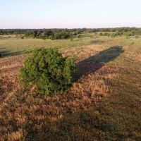 Meadow View Ranch images 4