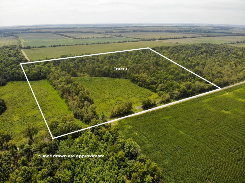 AUCTION WAYNE COUNTY 40 ACRES featured image