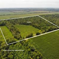 AUCTION WAYNE COUNTY 40 ACRES