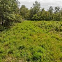 AUCTION WAYNE COUNTY 40 ACRES images 2