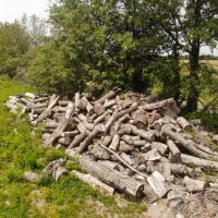 AUCTION WAYNE COUNTY 40 ACRES images 5
