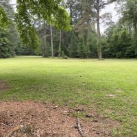 Bear Creek Tract of Winn Parish Winn Parish 40 Acres - images 5