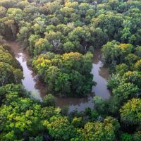 Cache River 438 images 1
