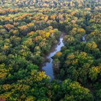Cache River 438 images 2