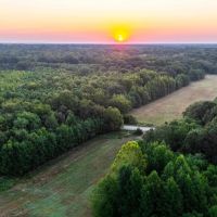 Cache River 438 images 3