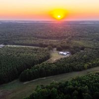 Cache River 438 images 5