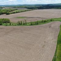 126 - acre Tillable farm located just outside the City of Baraboo images 2